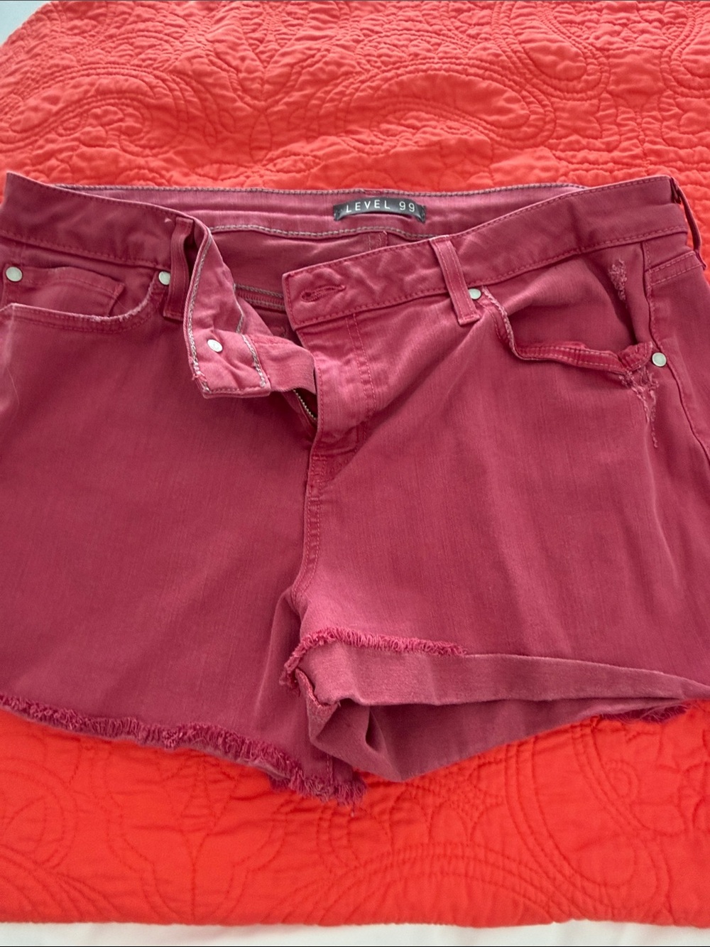 Anthro Level 99 Red Distressed Raw Hem Jean Shorts